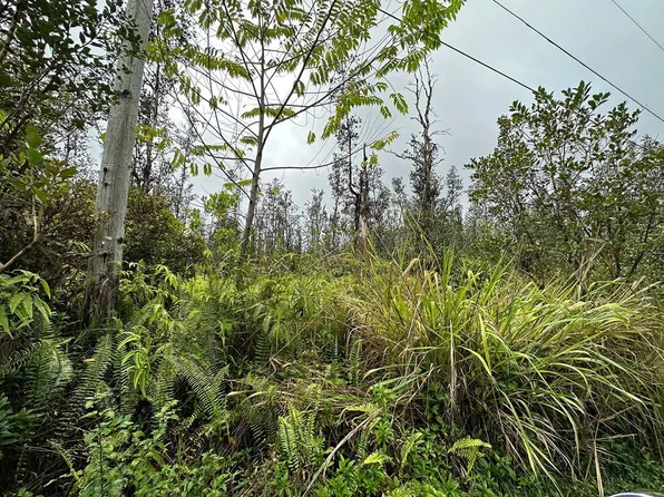 Road 2 Lot 2633, Kurtistown, HI 96760