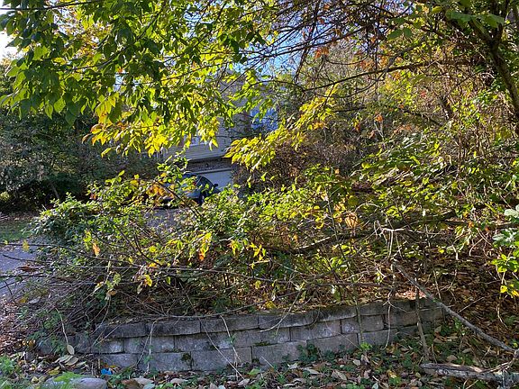 3rd image of 231 Caro Ln