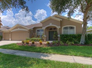 6026 Palomaglade Dr, Lithia, FL 33547