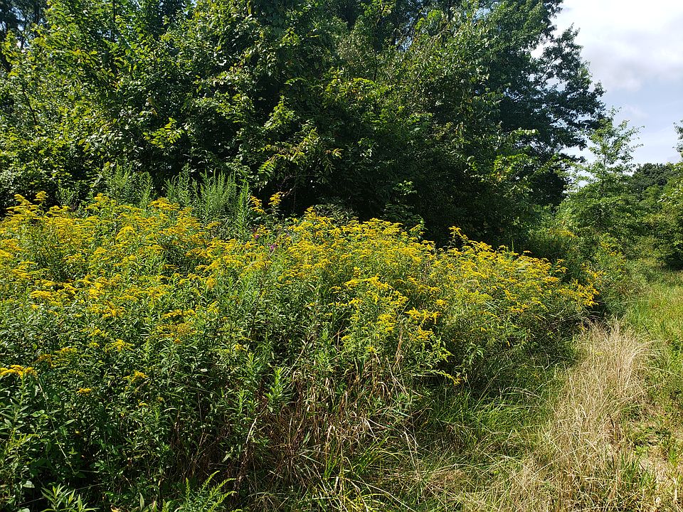 2nd image of 5271 Fischer Rd
