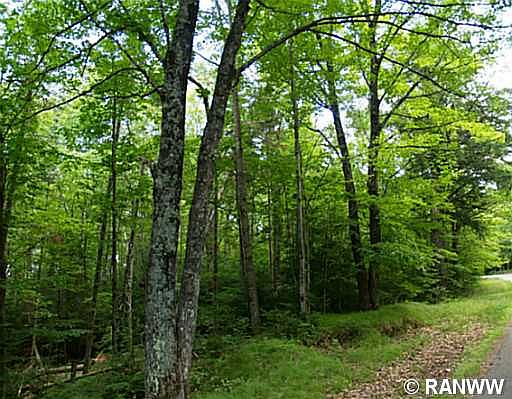 2nd image of Lot 15 Garmisch Road
