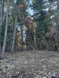 500 500/502 Shells Ln, Cloudcroft, NM, 88317