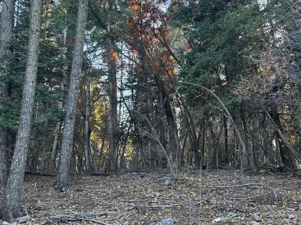 500 500/502 Shells Ln, Cloudcroft, NM 88317