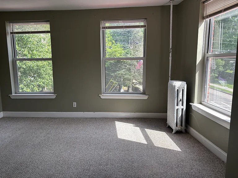 2 Morris Ave #203 — Photo 14