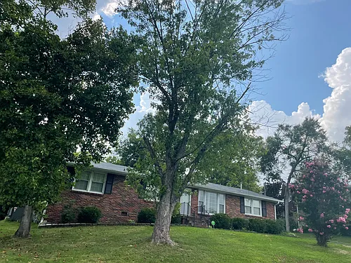2817 Galesburg Dr Photo 1