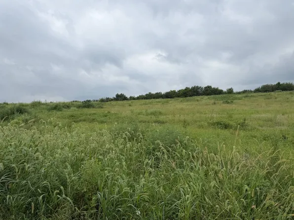 0 Dd Blacktop, Pattonsburg, MO 64670