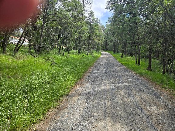 5th image of 12729 Wolf Rd