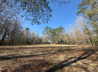 0 Healing Springs Rd, Blackville, SC 29817