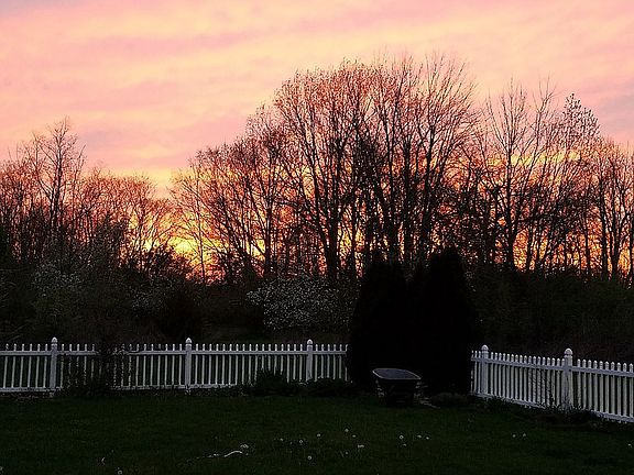 Backyard looking Northwest