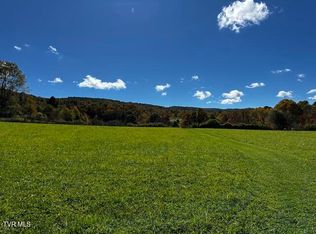 Lady Ln #1, Shady Valley, TN 37688