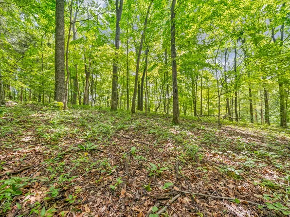 1 Budds Creek Rd Lot 1, Palmyra, TN 37142