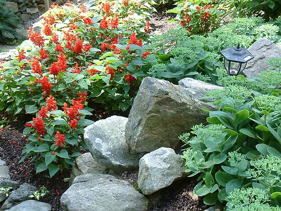 front lawn landscaping