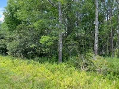 0 Harrington Rd #4, Gilboa, NY, 12076