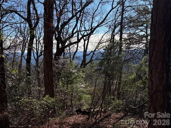 Bobcat Mountain Rd #27, Purlear, NC 28665