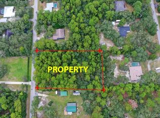 2659 S Bolton Ave, Homosassa, FL 34448