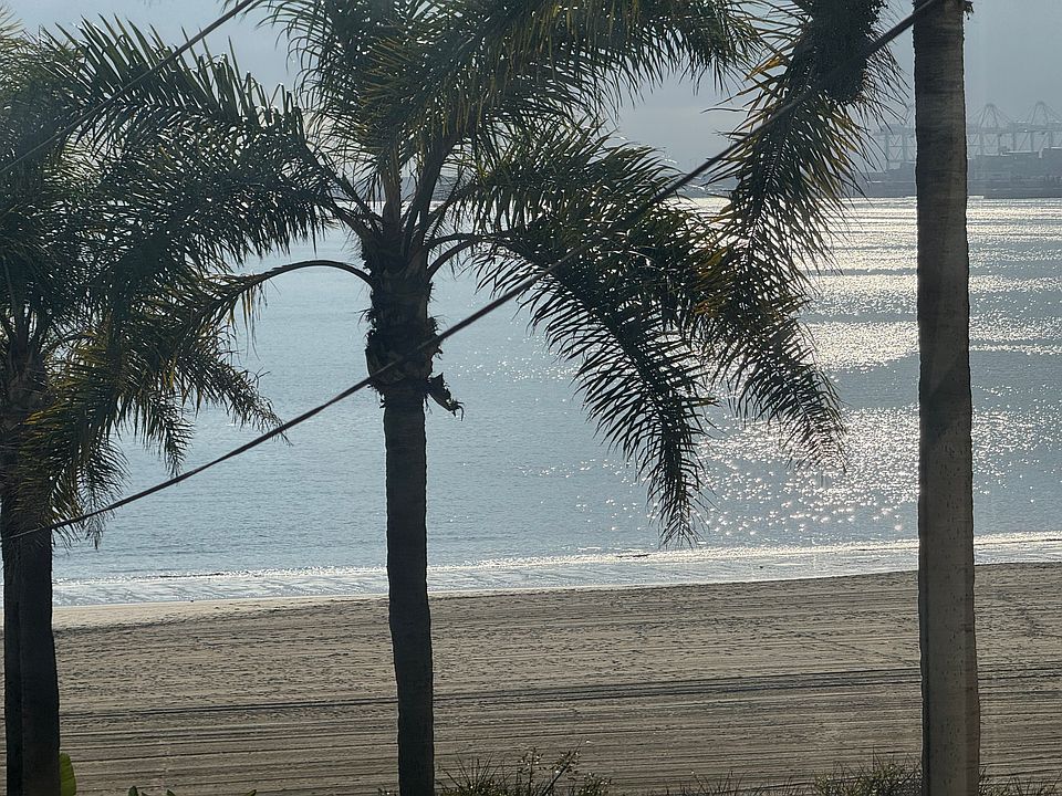1st image of 1816 E Ocean Blvd #1816