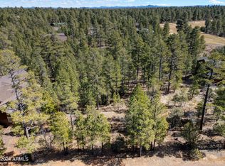 401 Silverleaf Ln #62, Show Low, AZ 85901