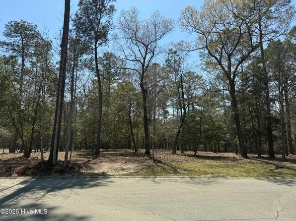 3545 Lilly Pad Court, Shallotte, NC 28470