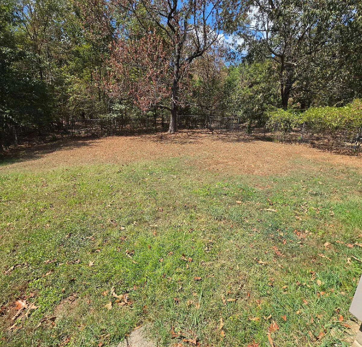 2 bed, 1.0 bath, 856 sqft, $1,150 — Photo 4