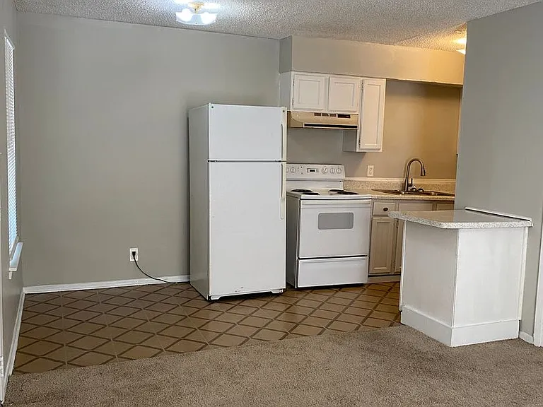 SOUTH PARK APARTMENTS — Photo 7