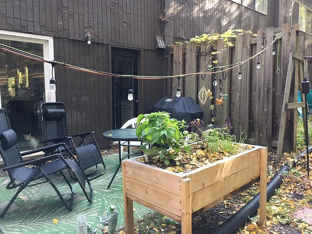 4 Charles St #4 — Photo 17