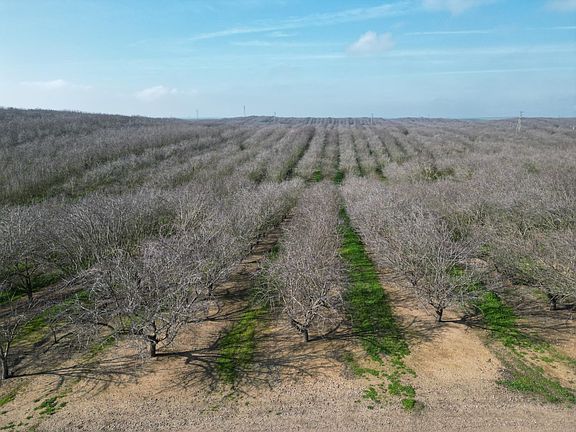 3rd image of 16501 28 Mile Rd