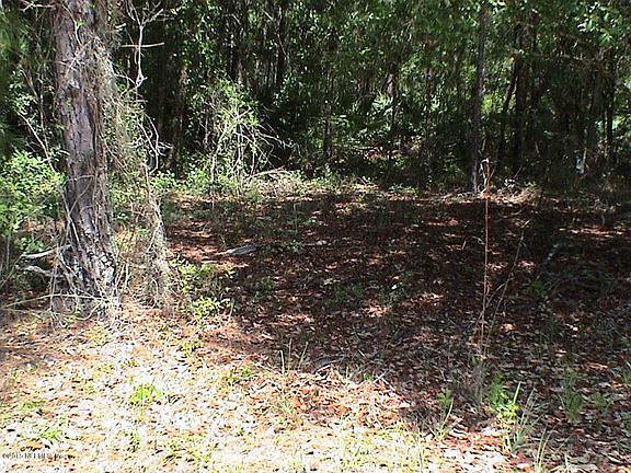 5th image of 108 Live Oak Dr
