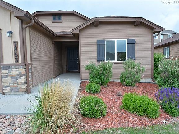 ENTRANCE INTO THE HOME