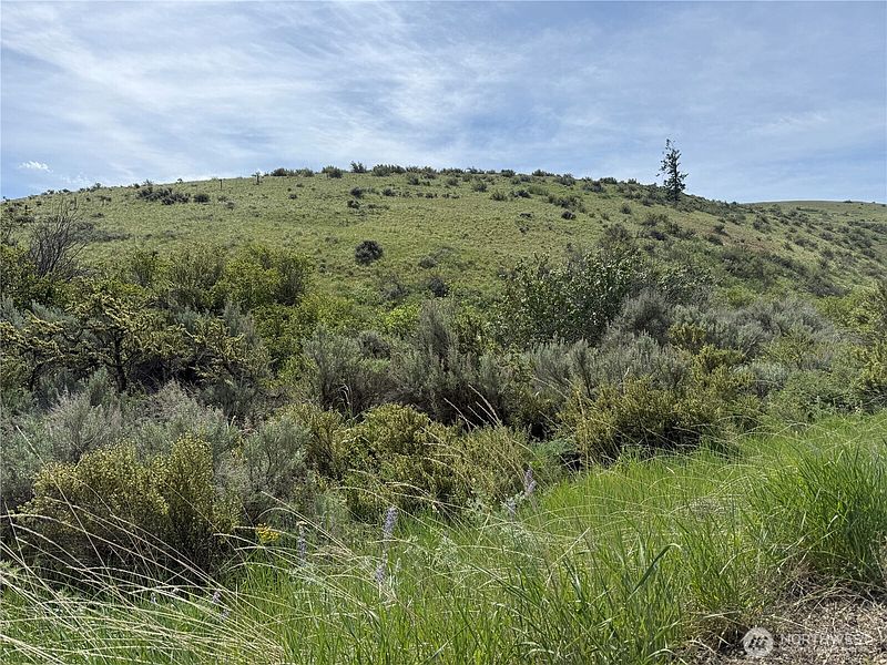 5th image of 0 Titchenal Canyon Road SW