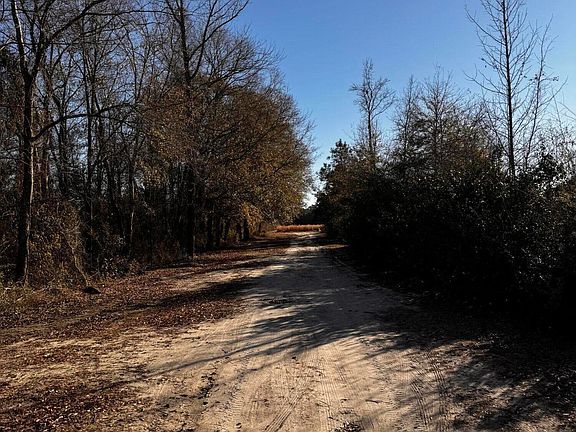 2nd image of 116 Sweet Lane