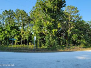 15596 Cliff Swallow Rd, Weeki Wachee, FL 34614