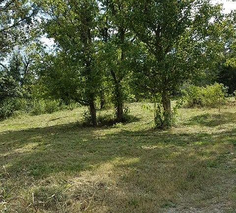 2nd image of 350 County Road 161