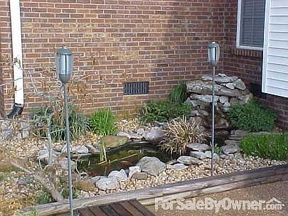 Pond off of patio