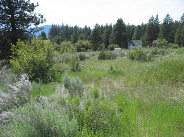 Irving Way Lot 3, Chiloquin, OR 97624