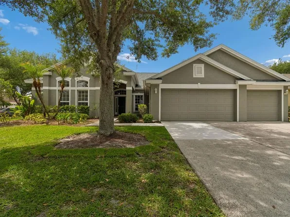 10243 Shadow Branch Dr, Tampa, FL 33647