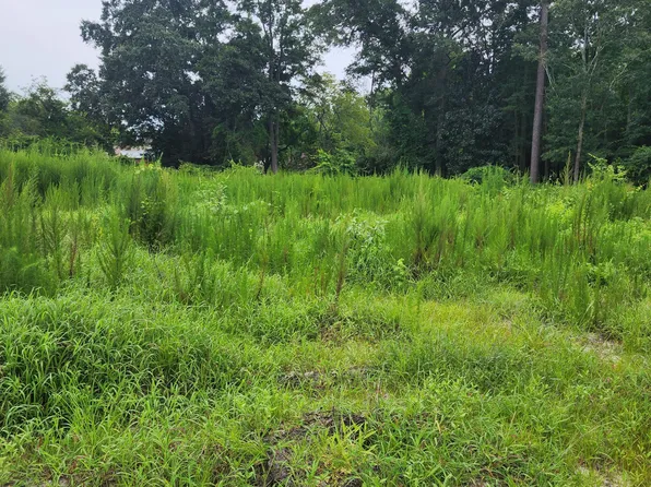 E1107 Eleven Farms Rd. Road, Salemburg, NC 28385