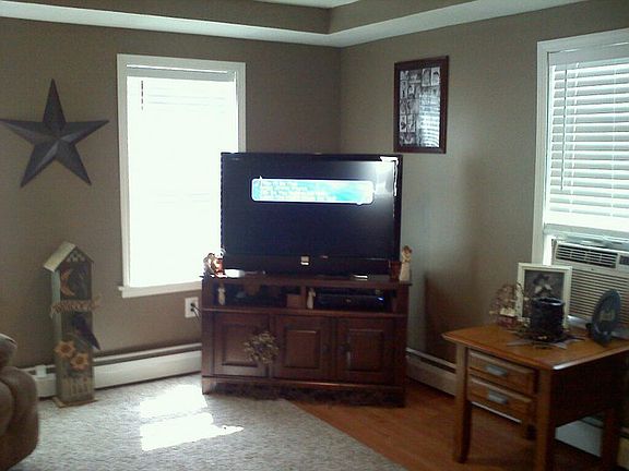 living room /vaulted ceiling