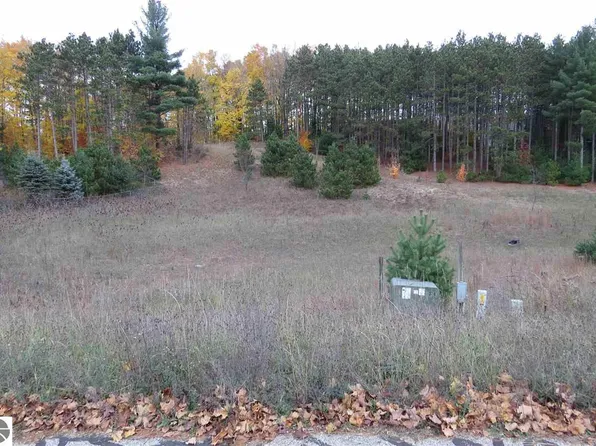LOT 42 Pleasant Valley, Kingsley, MI 49649