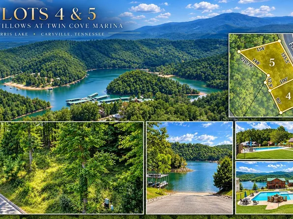 Foxwood Dr, Caryville, TN 37714