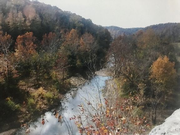 5th image of 501 Lola Ln