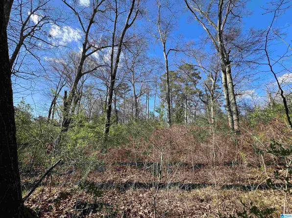 6371 Pocahontas Rd #1, Bessemer, AL 35022