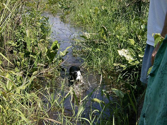 Waterway to pond and river.