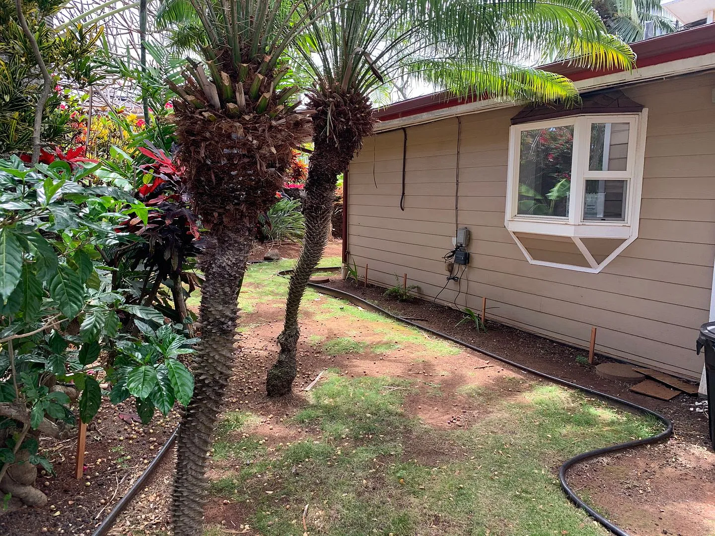 Great Kahana Home- 50 yards to the beach! — Photo 2