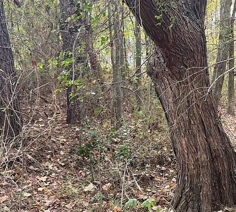 5th image of 0 Old Bill Cook Rd 5.3 Acres