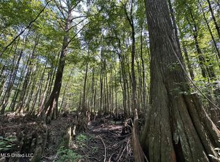 Natchez Trace Pkwy, Carthage, MS 39051