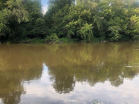 Best river views 