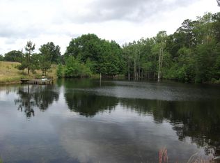 20 McMickle Rd, Buena Vista, GA 31803