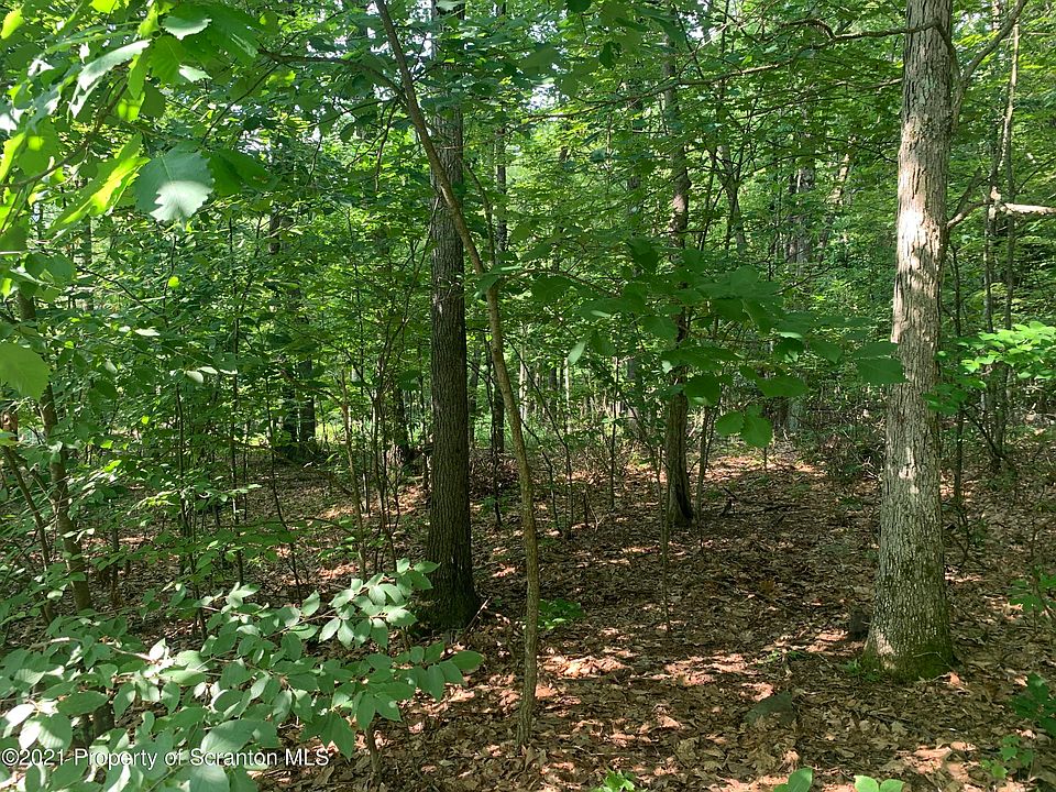 2nd image of Skyline Dr N