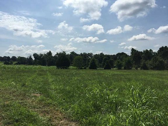 5th image of 7329 Old Cox Park