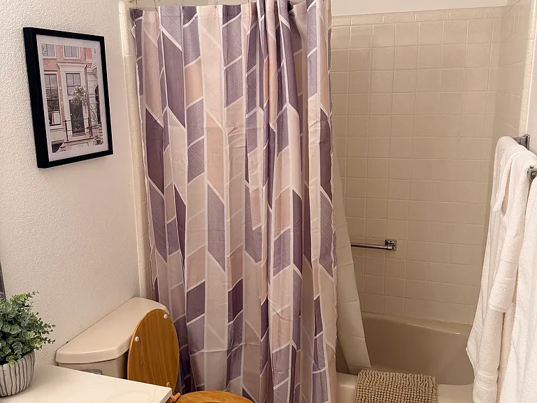 Guest bathroom
